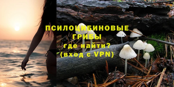 бошки Балахна