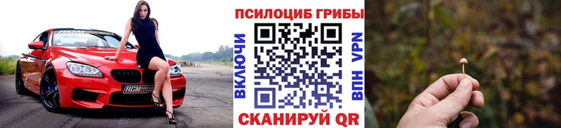Псилоцибиновые грибы GOLDEN TEACHER  Борисоглебск 